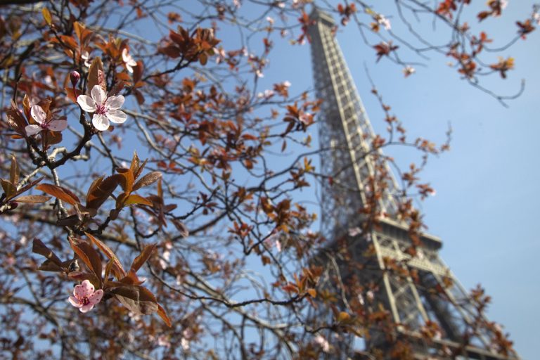 Париж в Марте 2024 погода, как отдохнуть? ParisLife.info
