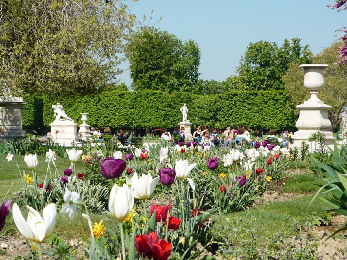 Парижский Сад Тюильри