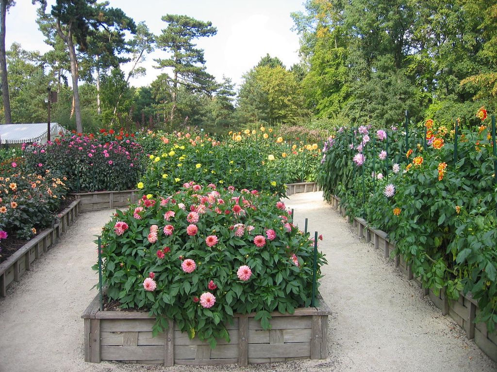 Цветы в Венсенском парке