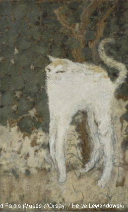 Белый кот (1894 г.)